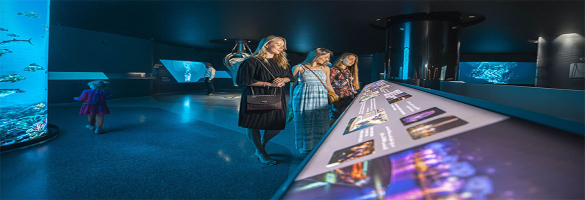 The View At The Palm Jumeirah Dubai